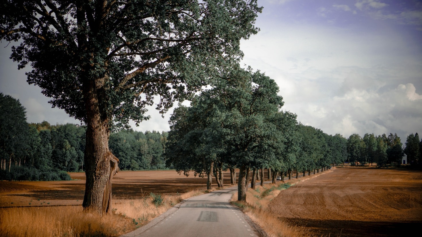 The Benefits of Using Trimble for GIS Projects